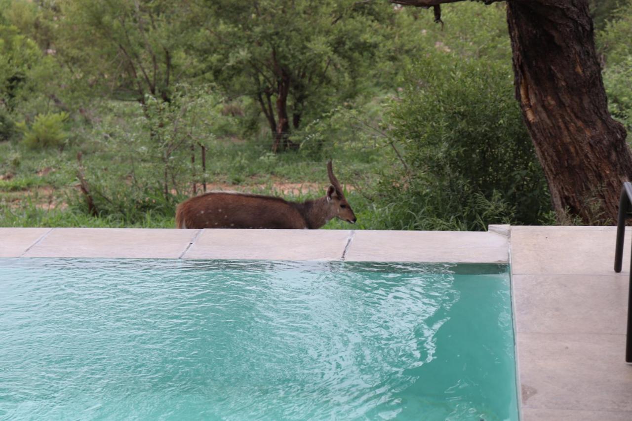 Manzini River House - Mjejane Private Game Reserve, Greater Kruger National Park Villa *